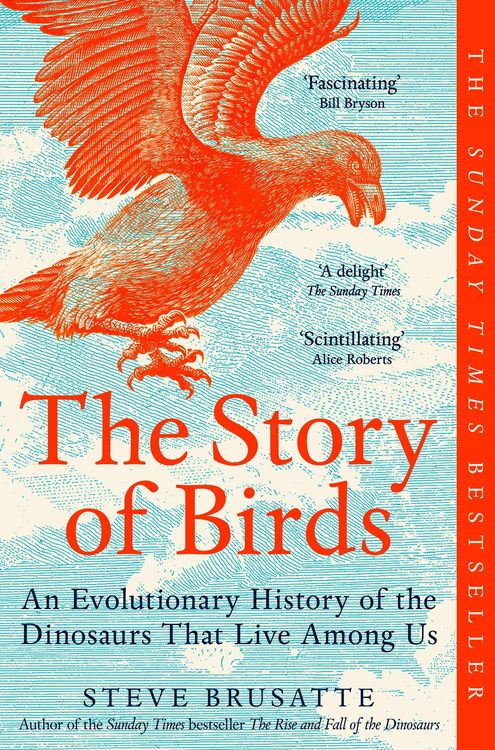 Produktbild: The Story of Birds