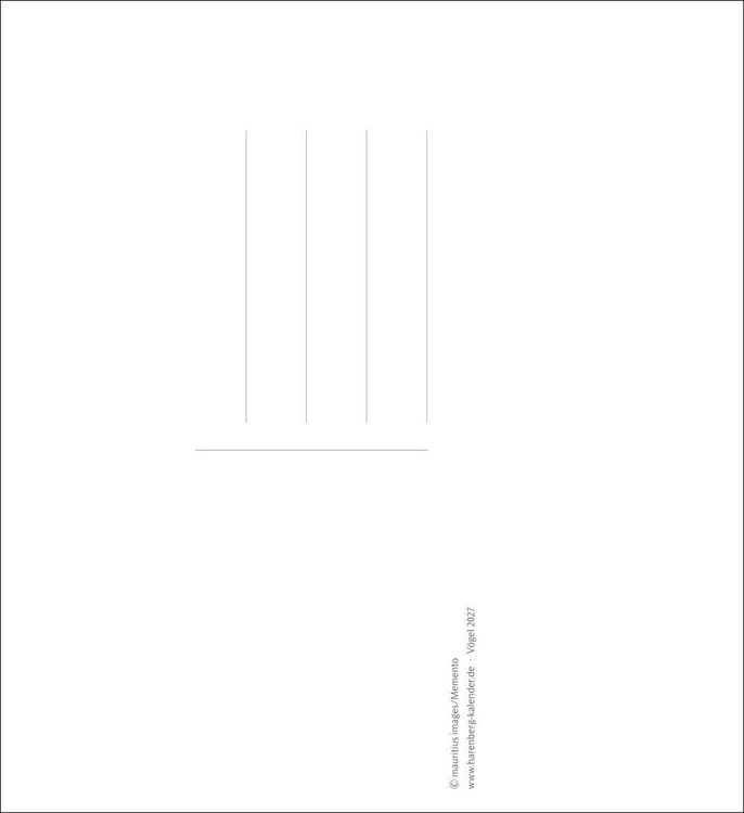Produktbild: V&ouml;gel Postkartenkalender 2027 - Postkartenkalender mit 53 historischen Zeichnungen