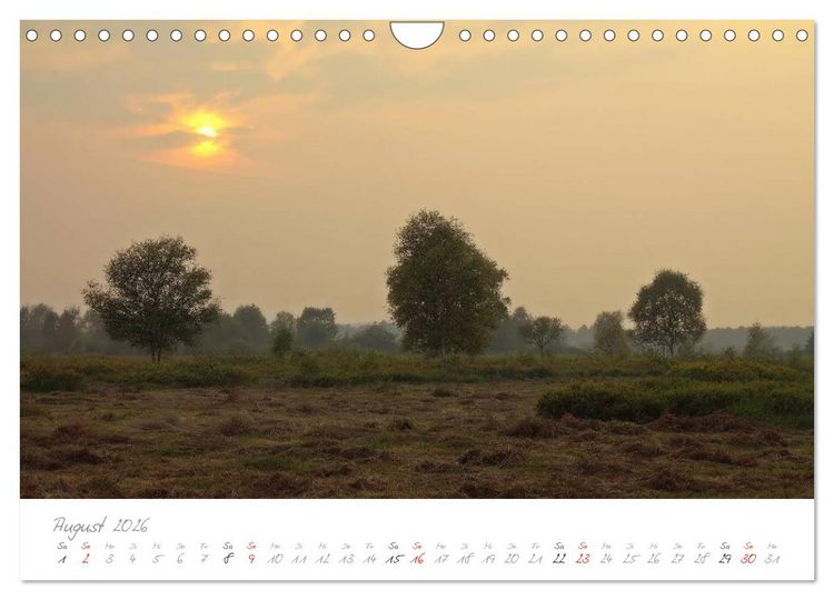 Produktbild: Teufelsmoor Impressionen (Wandkalender 2026 DIN A4 quer), CALVENDO Monatskalender