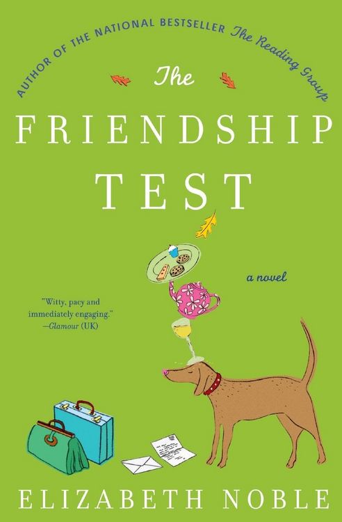Produktbild: The Friendship Test