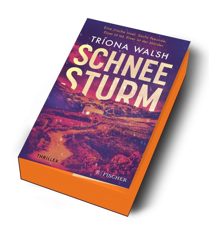 Produktbild: Schneesturm