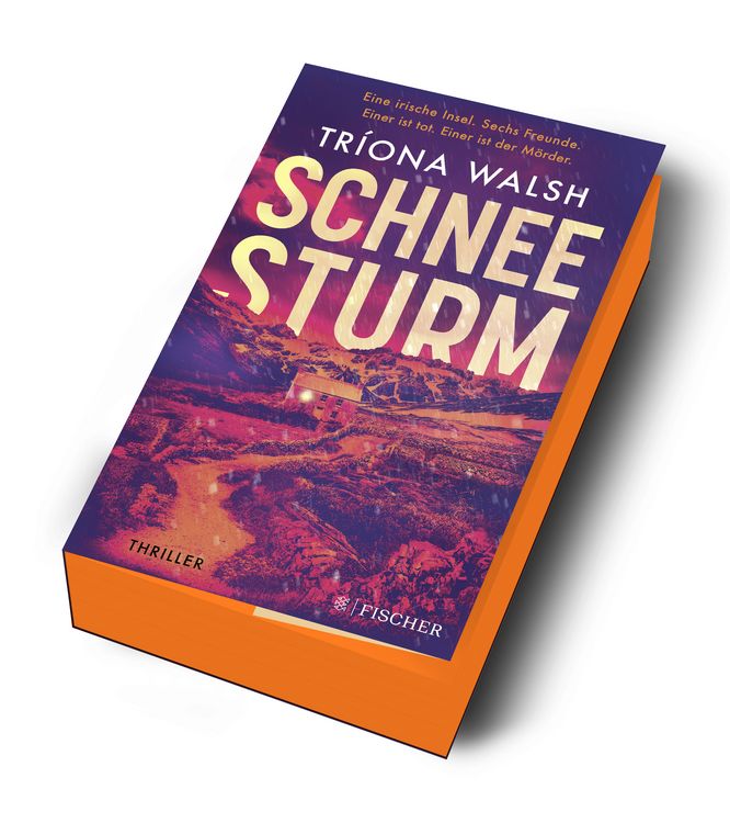 Produktbild: Schneesturm