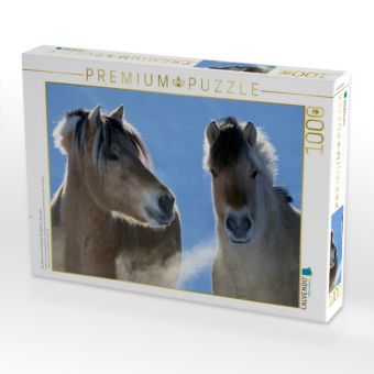 Produktbild: CALVENDO Puzzle Ein Motiv aus dem Kalender Fjordpferde - Norweger | 1000 Teile Lege-Gr&ouml;&szlig;e 64x48cm Foto-Puzzle f&uuml;r gl&uuml;ckliche Stunden