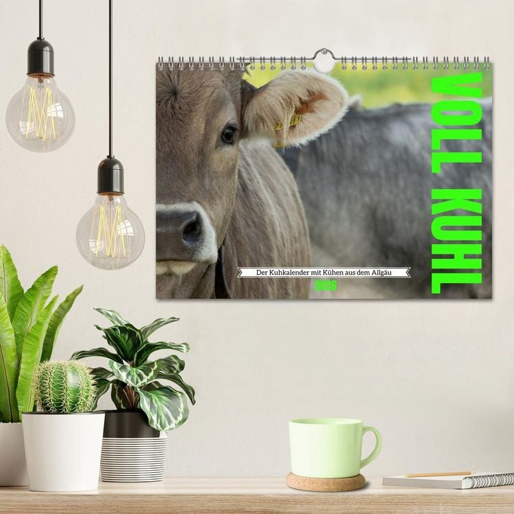 Produktbild: Voll kuhl - der Kuhkalender mit K&uuml;hen aus dem Allg&auml;u (Wandkalender 2026 DIN A4 quer), CALVENDO Monatskalender