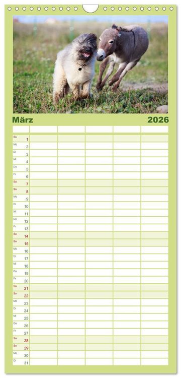 Produktbild: Familienplaner 2026 - Das Esel-Paradies - Hunde und andere Feunde mit 5 Spalten (Wandkalender, 21 x 45 cm) CALVENDO