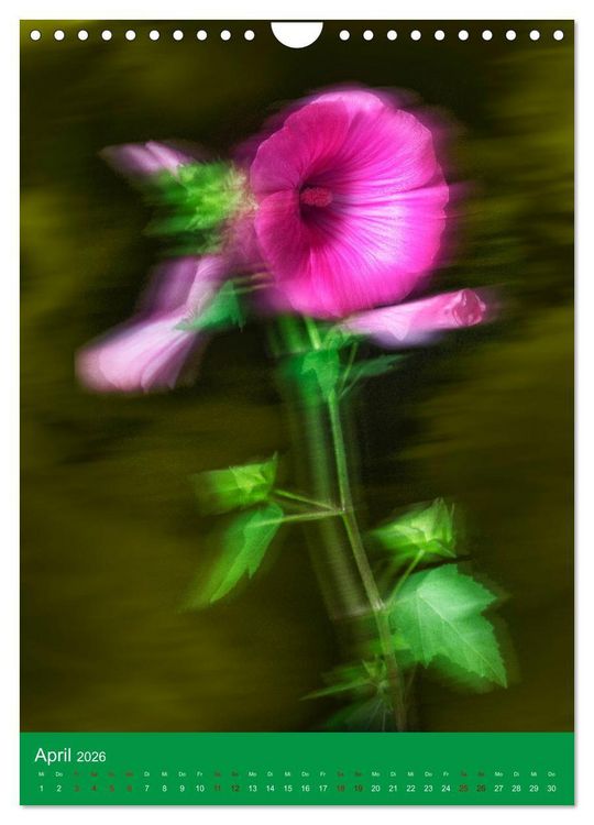 Produktbild: Floraler Tanz (Wandkalender 2026 DIN A4 hoch), CALVENDO Monatskalender