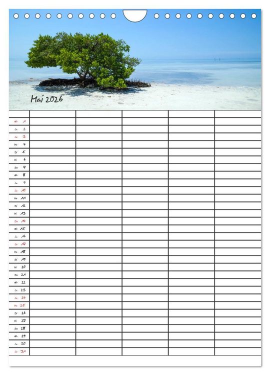Produktbild: Idyllisches Florida / Familienplaner (Wandkalender 2026 DIN A4 hoch), CALVENDO Monatskalender