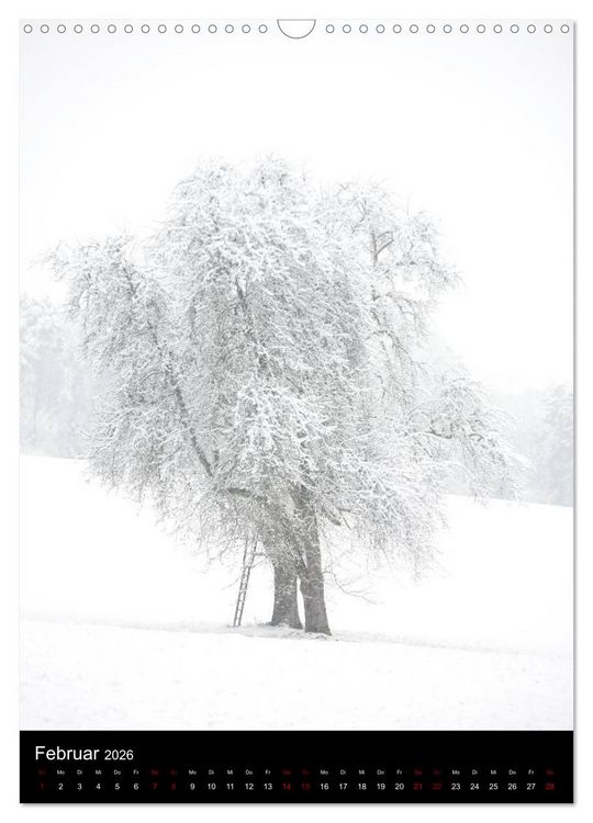 Produktbild: B&auml;ume - Stilles Leben (Wandkalender 2026 DIN A3 hoch), CALVENDO Monatskalender