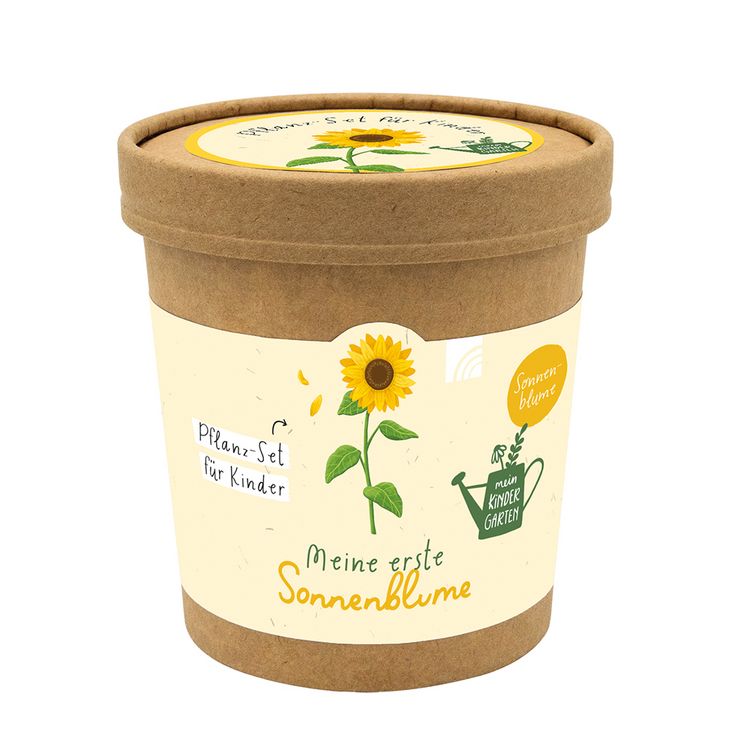Produktbild: Meine erste Sonnenblume