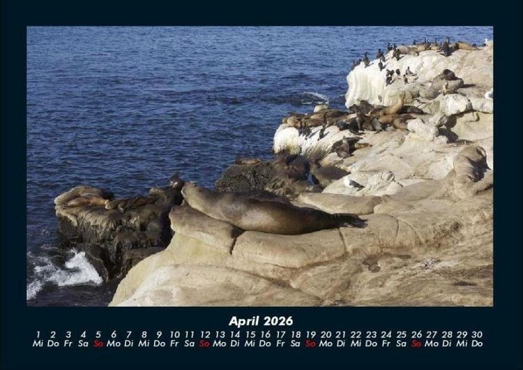 Produktbild: Seeblick 2026 Fotokalender DIN A4