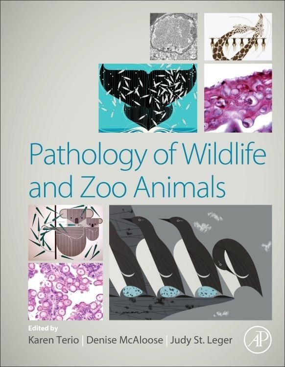 Produktbild: Pathology of Wildlife and Zoo Animals