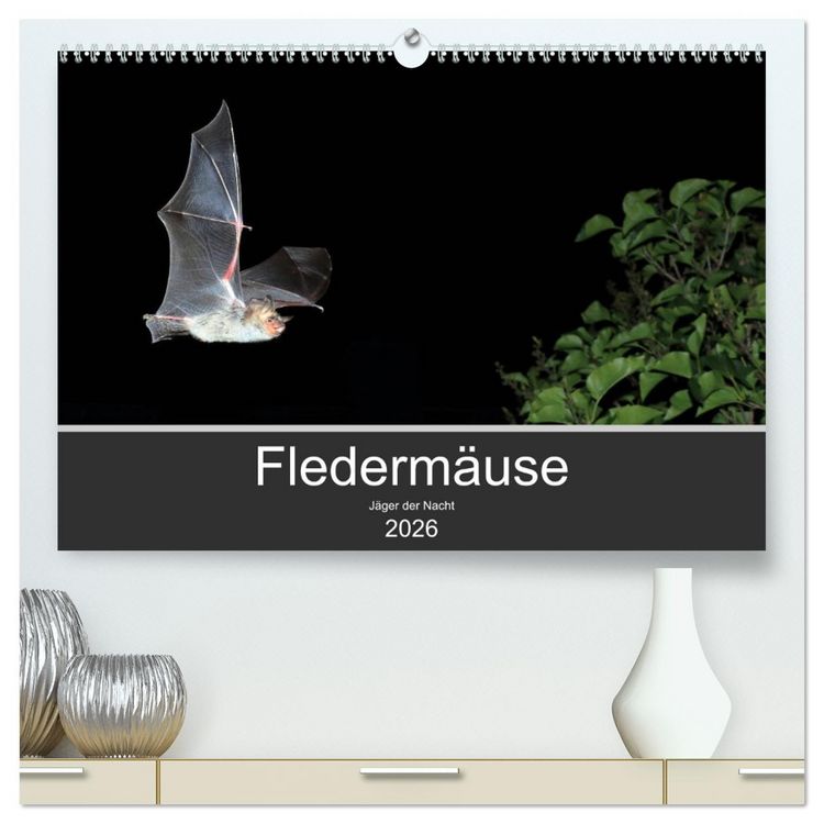 Produktbild: Flederm&auml;use - J&auml;ger der Nacht (hochwertiger Premium Wandkalender 2026 DIN A2 quer), Kunstdruck in Hochglanz