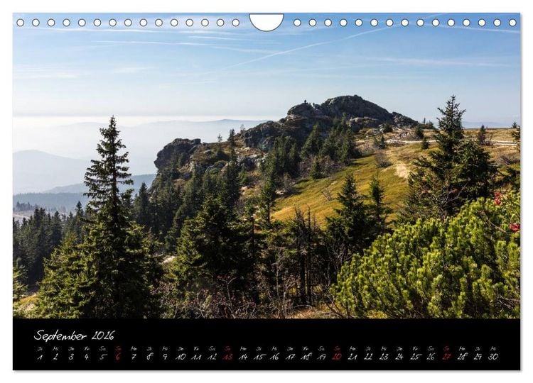 Produktbild: Bayerischer Wald (Wandkalender 2026 DIN A4 quer), CALVENDO Monatskalender