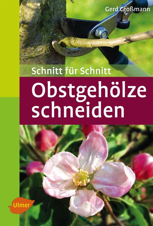Bild vom Artikel Obstgehölze schneiden vom Autor Gerd Grossmann