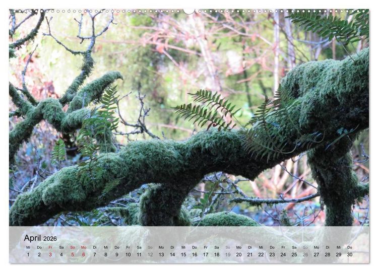 Produktbild: Bretagne - Wildnis Finist&egrave;re (hochwertiger Premium Wandkalender 2026 DIN A2 quer), Kunstdruck in Hochglanz