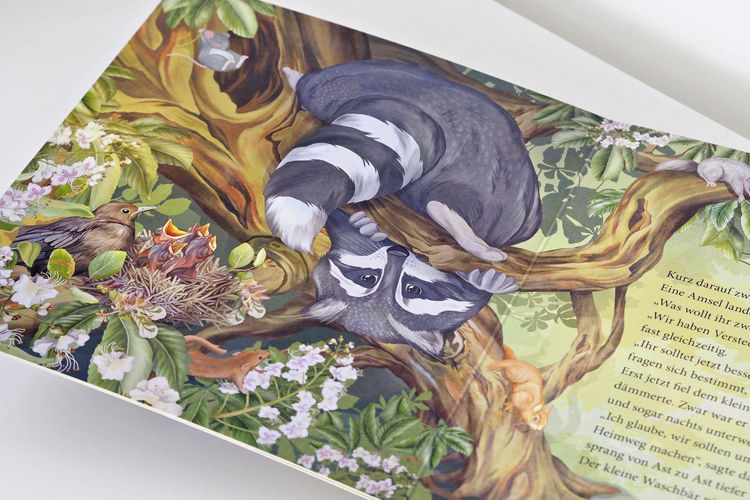 Produktbild: Schlaf gut, kleiner Waschb&auml;r &ndash; ein Bilderbuch f&uuml;r Kinder ab 2 Jahren