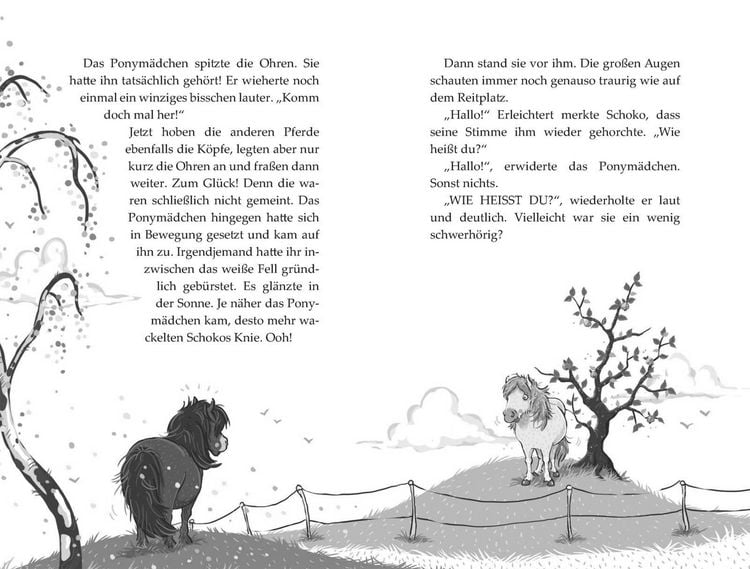 Produktbild: Die Haferhorde 4: Schmetterlinge im Ponybauch