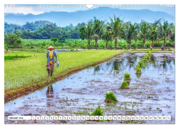 Produktbild: Java, Indonesische Insel im Feuerring (Wandkalender 2026 DIN A3 quer), CALVENDO Monatskalender