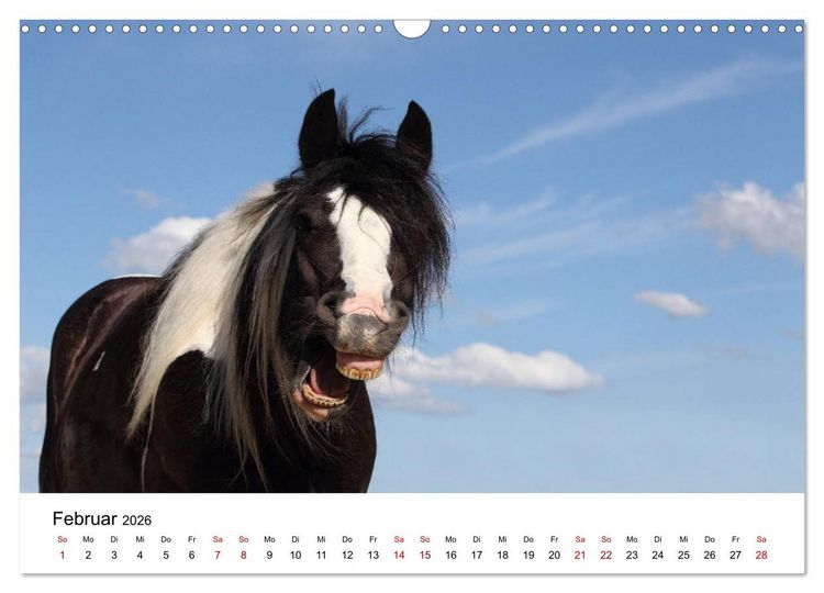 Produktbild: Pferde - im Galopp durch's Jahr 2026 (Wandkalender 2026 DIN A3 quer), CALVENDO Monatskalender