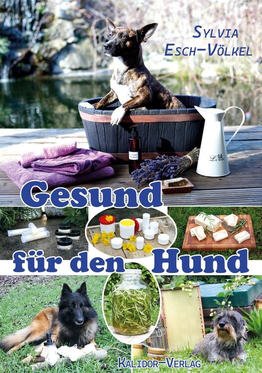 Produktbild: Gesund f&uuml;r den Hund