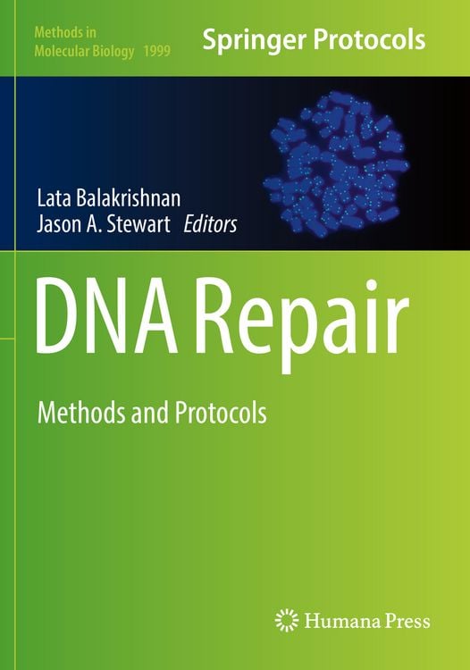 Produktbild: DNA Repair