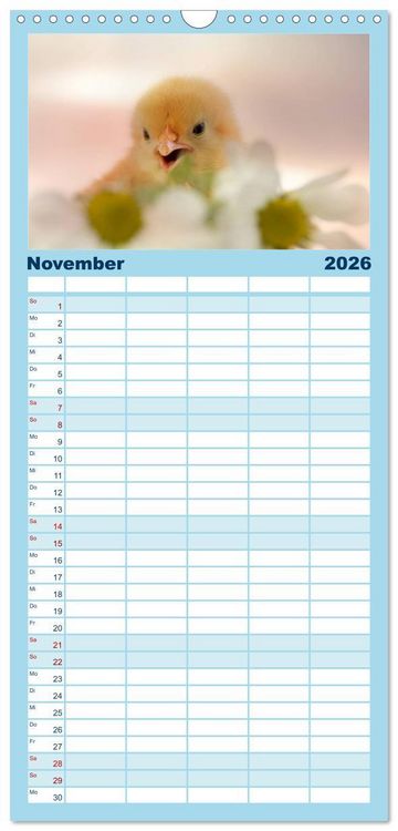 Produktbild: Familienplaner 2026 - K&uuml;ken in der Kinderstube mit 5 Spalten (Wandkalender, 21 x 45 cm) CALVENDO