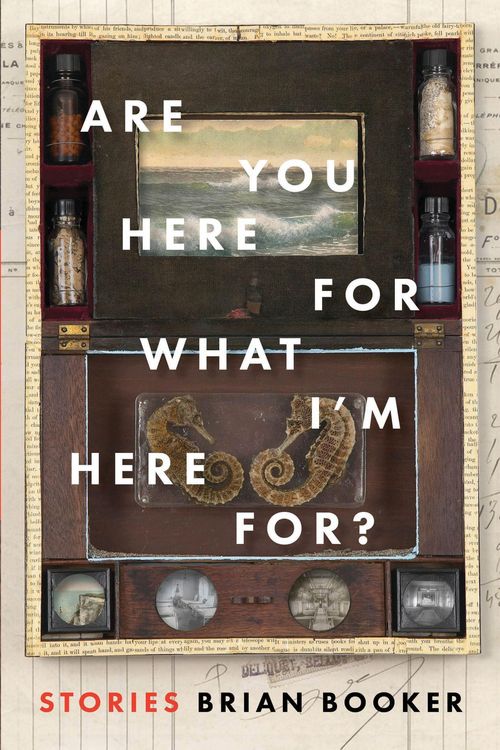 Produktbild: Are You Here for What I'm Here For?