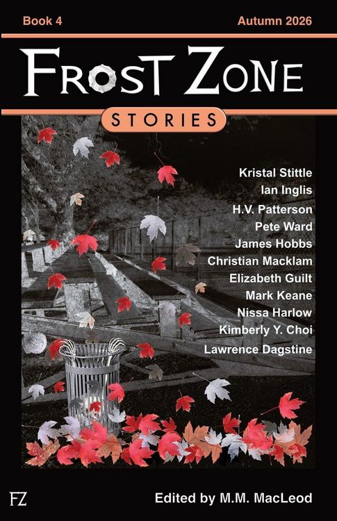 Produktbild: Frost Zone Stories book 4