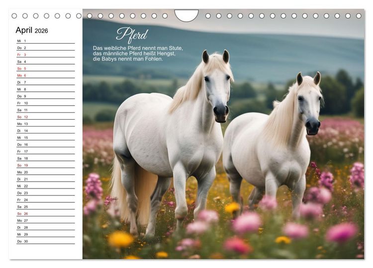 Produktbild: F&uuml;r pfiffige Kids- Haus- und Hoftiere (Wandkalender 2026 DIN A4 quer), CALVENDO Monatskalender