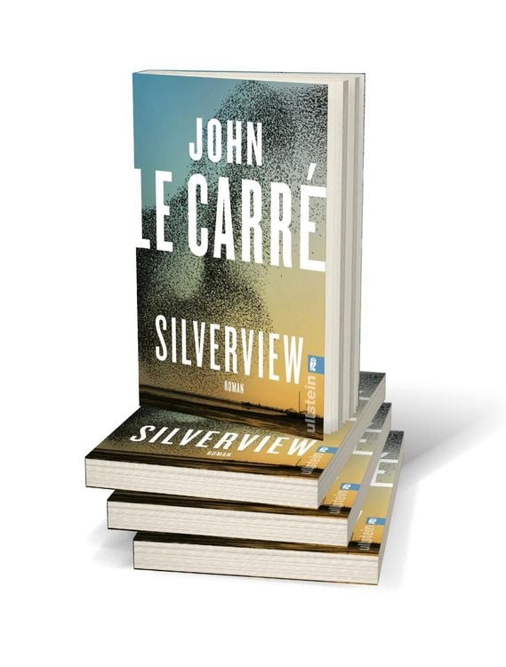 Produktbild: Silverview