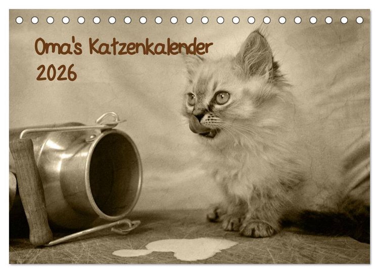 Produktbild: Oma's Katzenkalender 2026 (Tischkalender 2026 DIN A5 quer), CALVENDO Monatskalender