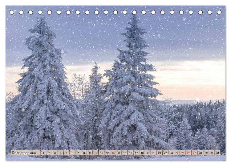 Produktbild: Leise durch den Wald. Sich Zeit nehmen und der Stille lauschen (Tischkalender 2026 DIN A5 quer), CALVENDO Monatskalender