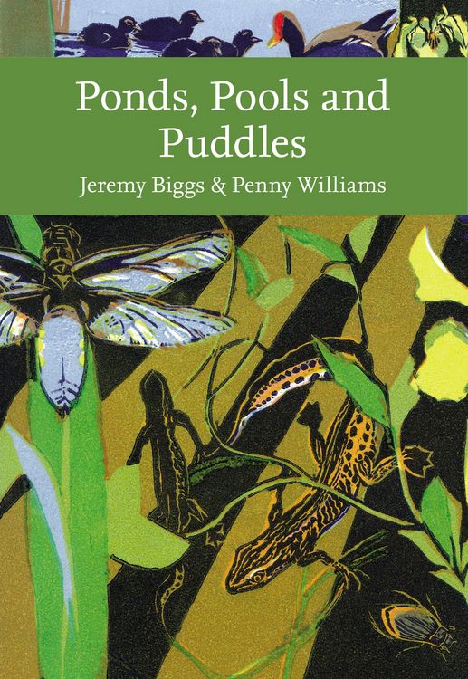 Produktbild: Biggs, J: Ponds, Pools and Puddles