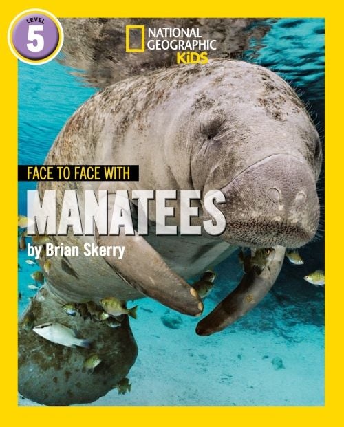 Produktbild: Nat Geo Reader Manatees