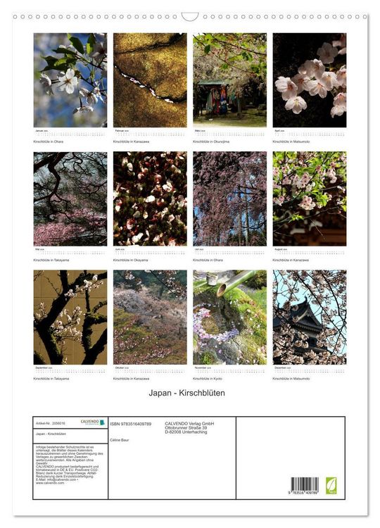 Produktbild: Japan - Kirschbl&uuml;ten (Wandkalender 2026 DIN A2 hoch), CALVENDO Monatskalender