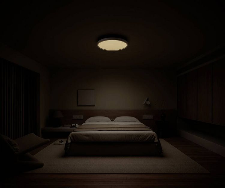 Produktbild: Xiaomi BHR9933GL Mi Smart LED Ceiling Light D40 Deckenaufbauleuchte LED LED 45W Wei&szlig;