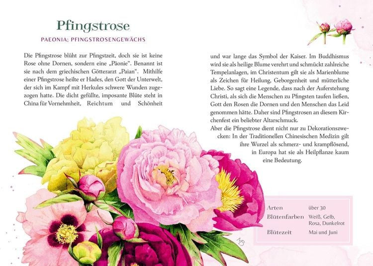 Produktbild: Farbenpracht und Blütenzauber
