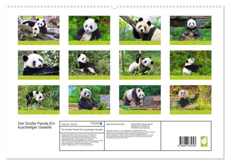 Produktbild: Der Gro&szlig;e Panda Ein kuscheliger Geselle (hochwertiger Premium Wandkalender 2026 DIN A2 quer), Kunstdruck in Hochglanz