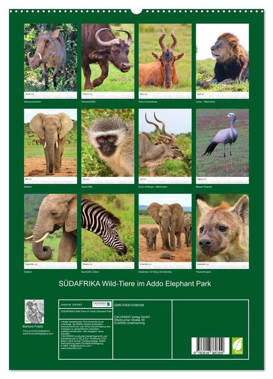 Produktbild: S&Uuml;DAFRIKA Wild-Tiere im Addo Elephant Park (hochwertiger Premium Wandkalender 2026 DIN A2 hoch), Kunstdruck in Hochglanz