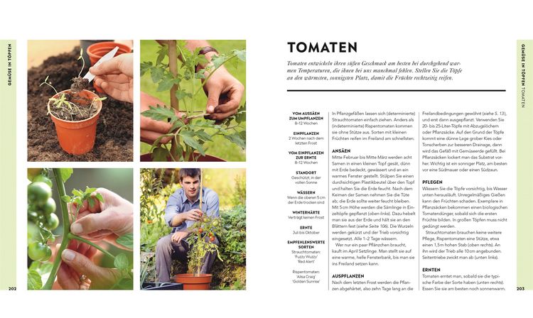 Produktbild: Hochbeet