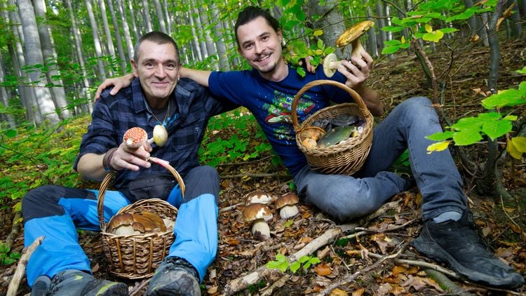 Produktbild: Alles unter einem Hut