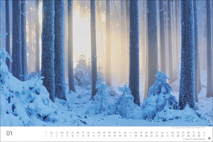 Produktbild: Wunderwelt Wald 2027