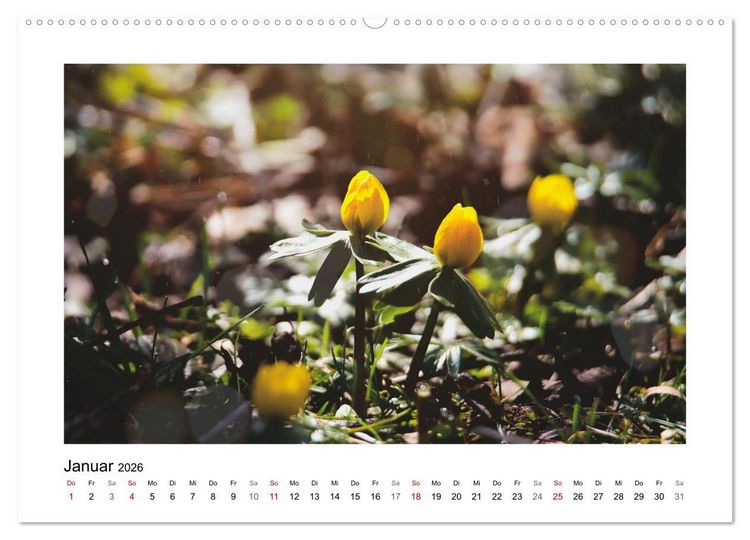 Produktbild: Mein Sehnsuchtsort, der Garten (hochwertiger Premium Wandkalender 2026 DIN A2 quer), Kunstdruck in Hochglanz
