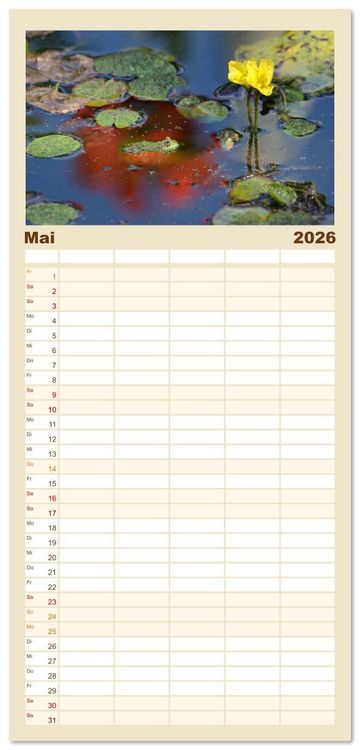 Produktbild: Familienplaner 2026 - Frosch Karl, Hans und Max im Einklang der Natur mit 5 Spalten (Wandkalender, 21 x 45 cm) CALVENDO