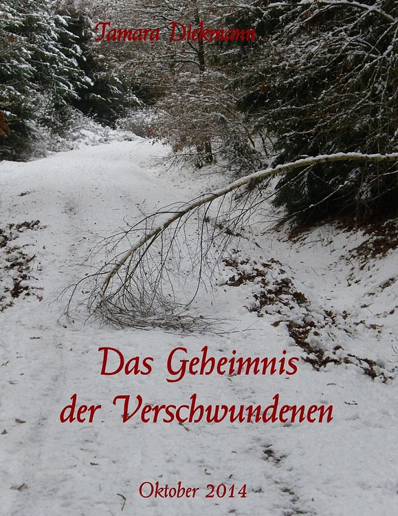 Produktbild: Das Geheimnis der Verschwundenen