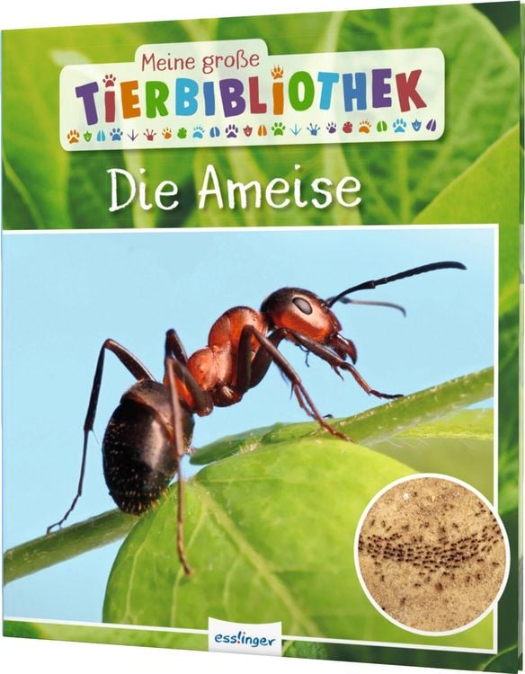 Produktbild: Meine große Tierbibliothek: Die Ameise