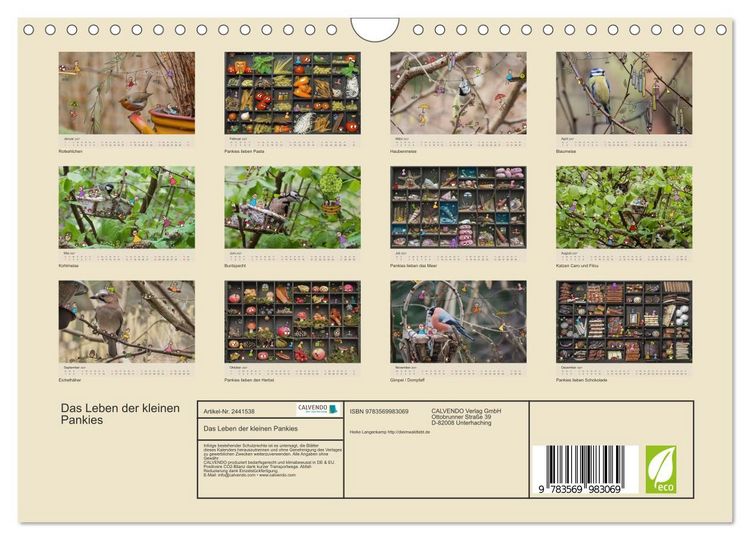 Produktbild: Das Leben der kleinen Pankies (Wandkalender 2027 DIN A4 quer), CALVENDO Monatskalender