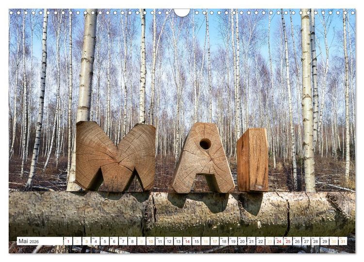 Produktbild: Holz, ein fantastischer Rohstoff. (Wandkalender 2026 DIN A3 quer), CALVENDO Monatskalender