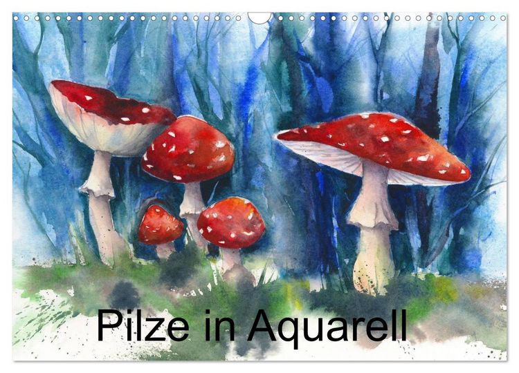 Produktbild: Pilze in Aquarell (Wandkalender 2026 DIN A3 quer), CALVENDO Monatskalender