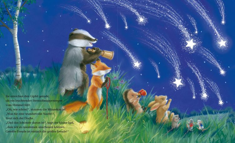 Produktbild: Der kleine Igel und die Sternschnuppen